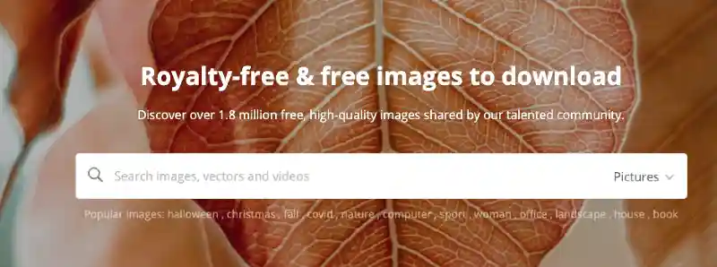 Top 9 absolutely free websites for photos and images to speed up your creativity